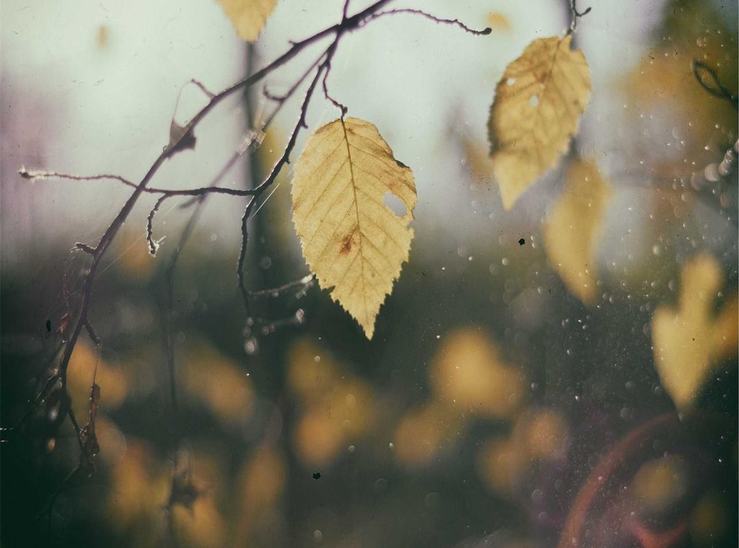 Important: How to Download and Install Safely