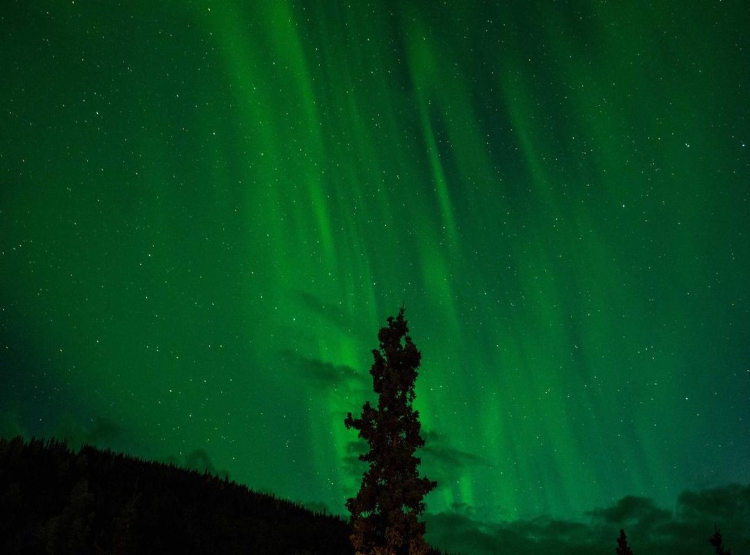 Your Action Plan: 5 Steps to Immediately Fortify Your Financial Security