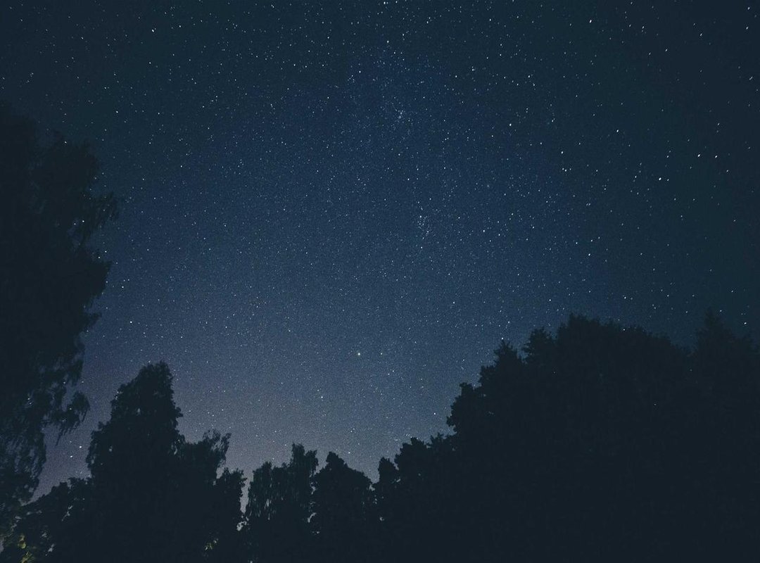 Unmistakably Adorable: When 'Cute' is the Main Vibe