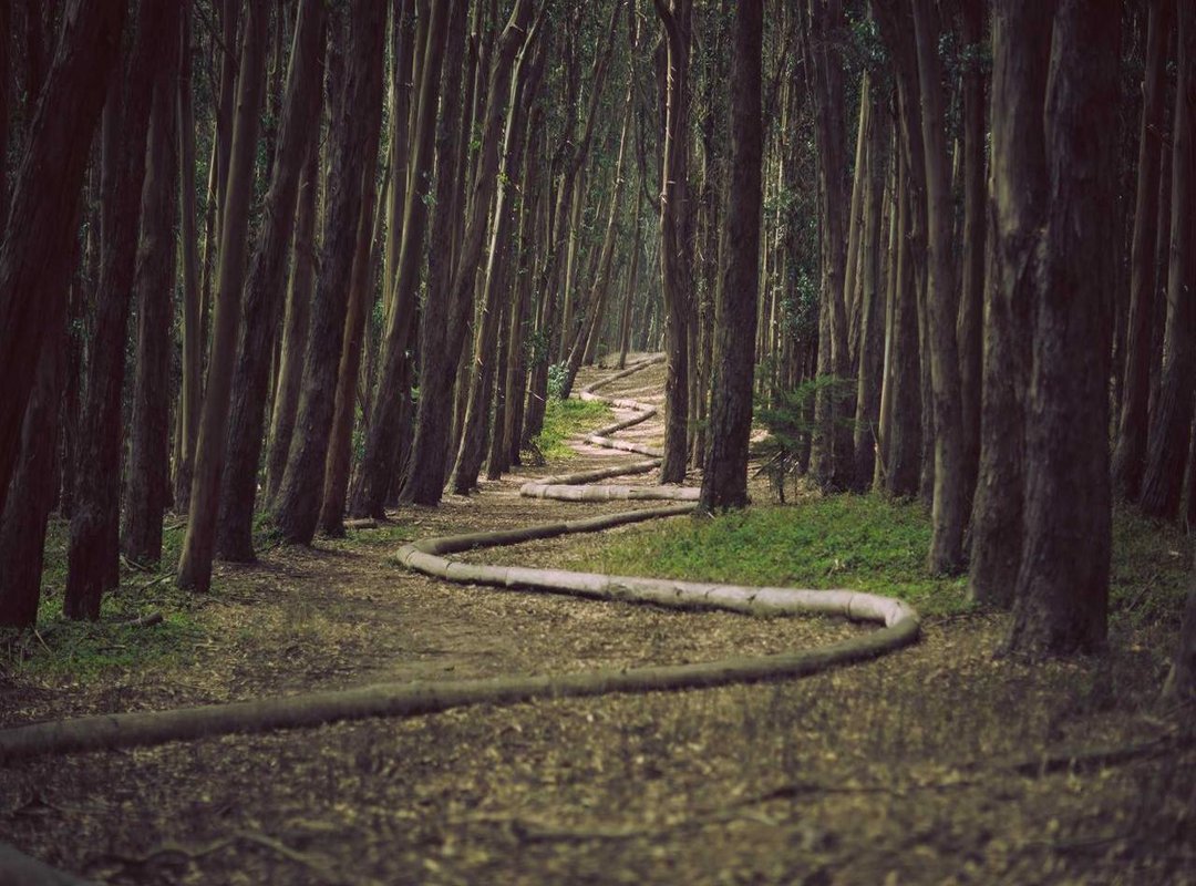 Step 3: Populating Your Map with Essential Inca Facts