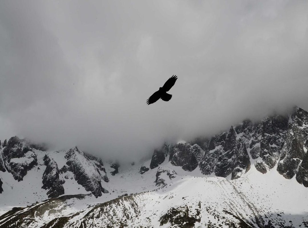 A Unique Philosophy: Connecting Financial Data to Lifestyle Goals