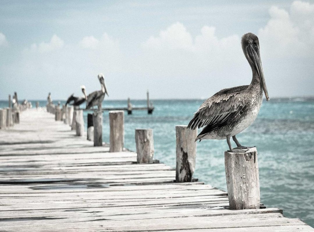 Maximizing Resale Value: Which Jet Categories Hold Their Worth?