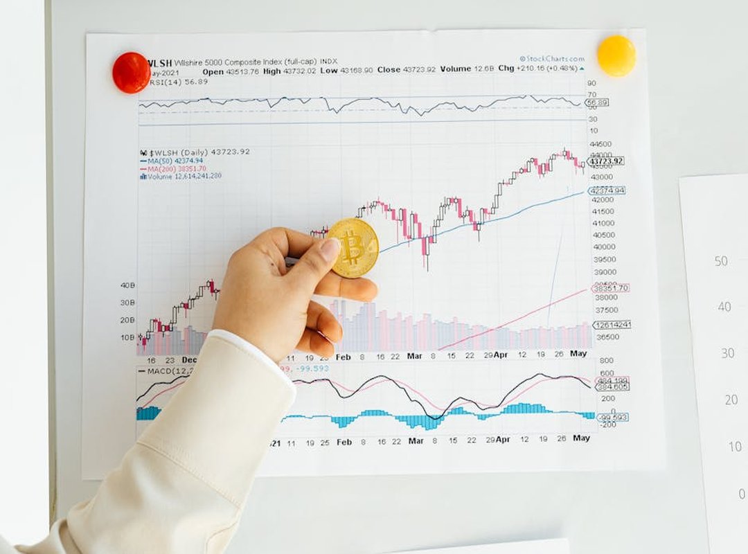 handling economic volatility adaptive